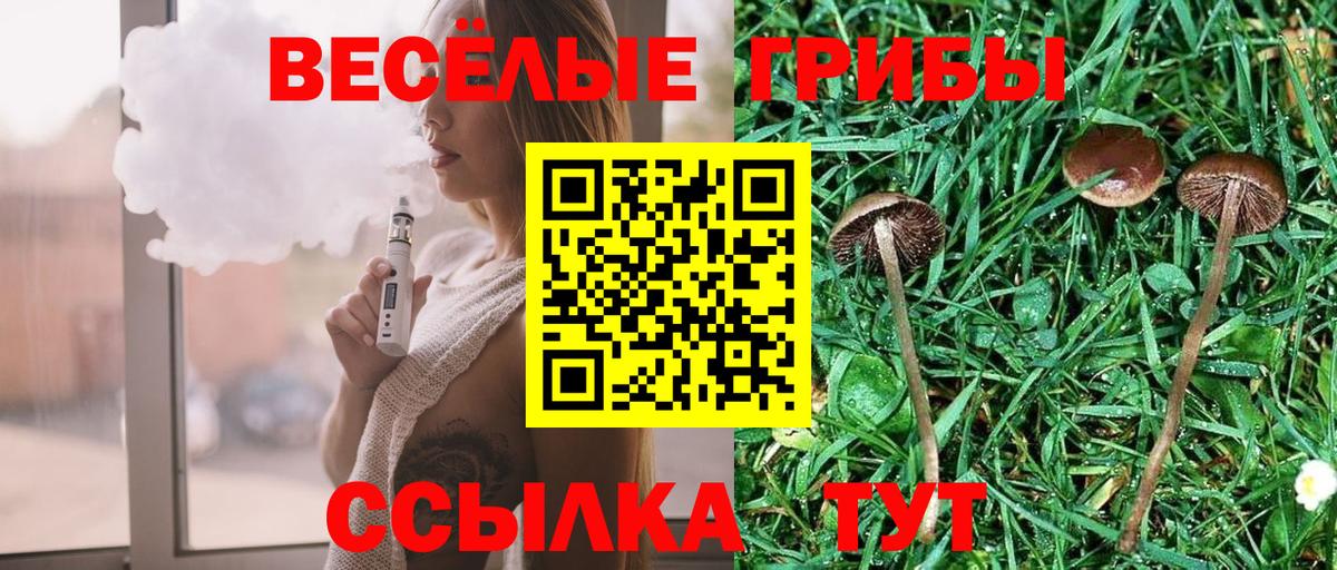 Псилоцибиновые грибы прущие грибы Кириши