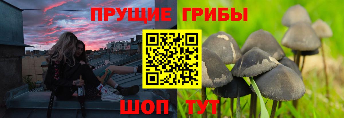 Псилоцибиновые грибы MAGIC MUSHROOMS  Галлюциногенные грибы мухоморы  Вход с VPN  Кириши 
